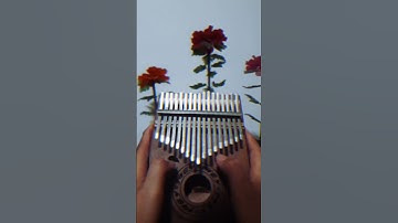 Thumbnail of Lost Time by Javi Lobe | kalimba cover 🥀