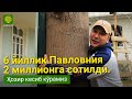 Пул Топишнинг Зур Йули: бир донаси 2 миллионлик дарахт