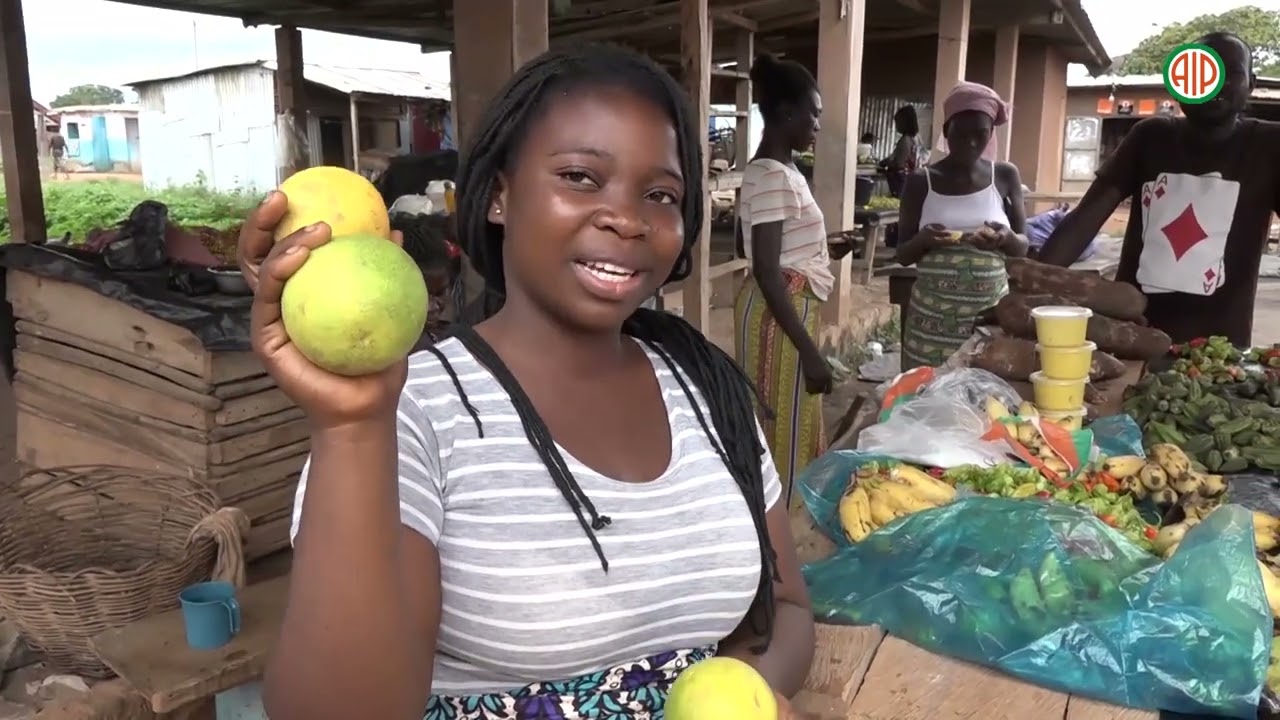 Région- Dimbokro : L’orpaillage, un frein à l’autosuffisance alimentaire dans le département de Dimb