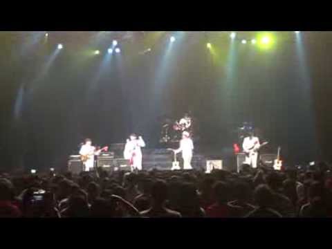 장미여관 그린플러그드 레드 2013 퍼포먼스