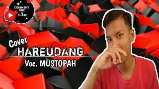 Download Lagu HAREUDANG (COVER GITAR) || Voc. MUSTOPAH MP3