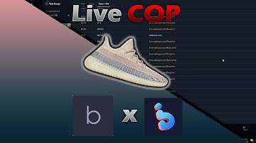 WhatBot x Balkobot Adidas Yeezy Boost 350 v2 Ash Pearl Live Cop Overview