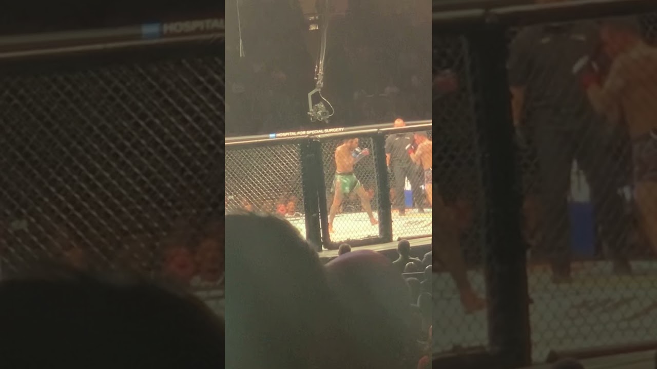 MMA Clip UFC 268 MARLON VERA UPKICK KO FRANKIE EDGAR! VIEW FROM MSG