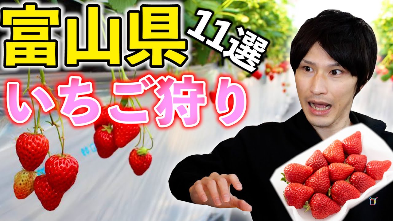 11選 富山県内のイチゴ狩りスポットまとめ Youtube