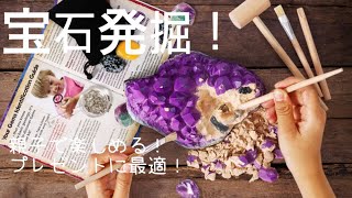 XXTOYS 宝石発掘キット おもちゃ 宝石 子供の日 水晶発見 宝石 発掘 キット クリスマス プレゼント クリスタル 採掘 鉱石標本 おもちゃ アメジスト 18個セット