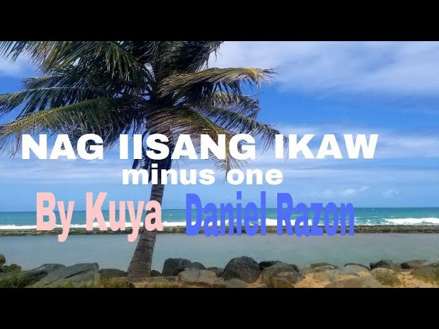 Nag iisang ikaw/Minus One/ By Kuya Daniel Razon/cover lyrics/