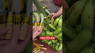 💥DAO CẮT NẢI CHUỐI . Lh 0833.925.828