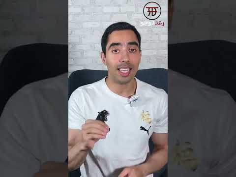 ما هي افضل انواع الإستثمار 