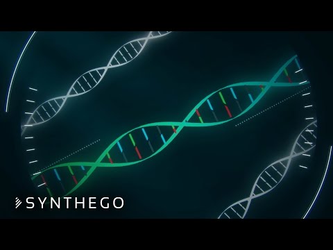 Synthego Raises $100 Million to Accelerate CRISPR Platform Scale-up in Response to Growing Demand