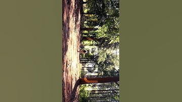 Jump cut in Video Editing - Jump cut editing - jump cut examples #shorts #jumpcut #videoediting