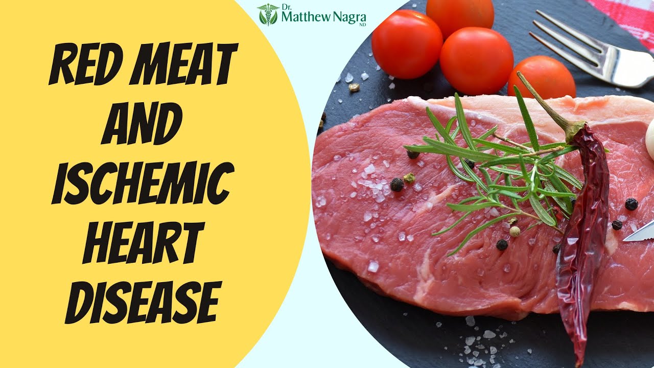 Red Meat and Ischemic Heart Disease YouTube