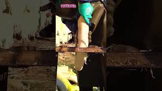 Smart choice to cut radish with unique super sharp tool #shorts