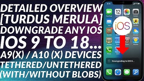[UPDATE] NEW Turdus Merula: Downgrade A9(X)/A10(X) Devices to Any iOS Version | Tethered/Untethered