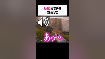 え?wwww女性配信者が出会った野良VCの反応が完璧すぎたwwwww【apex.エーペックスレジェンズ】#shorts