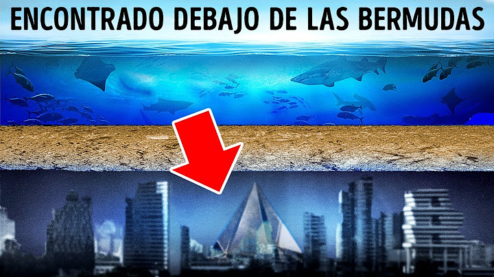 ¿Qué hay exactamente debajo del Triángulo de las Bermudas?