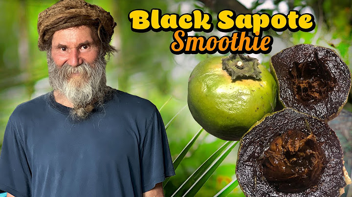 The "Chocolate Pudding Fruit" Black SAPOTE Smoothie!