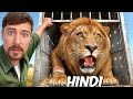 I Saved 1,000 Animals From Dying ! Mr beast|