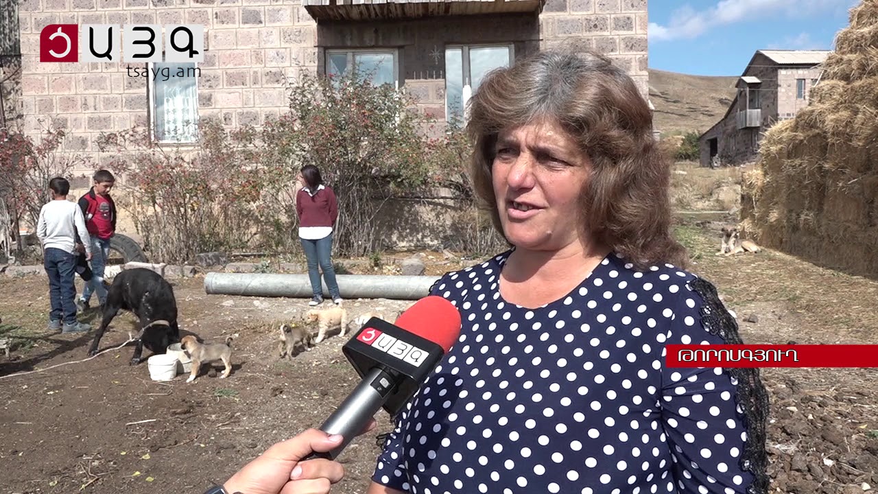 Թորոսգյուղը՝  երիտասարդ գործարարների աչքերով