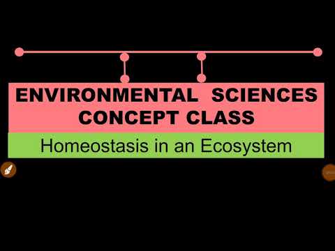 एक पारिस्थितिकी तंत्र में होमोस्टैसिस| पर्यावरण विज्ञान की मूल बातें| मन मानचित्रण