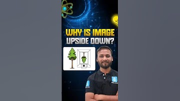 What You See In A Mirror Is Actually A VIRTUAL Image!