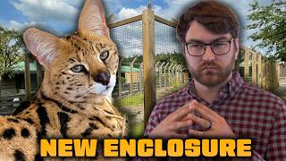 Planning A New Enclosure For Our Serval