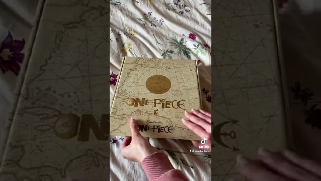 One Piece Volume 100 Celebration Edition🤩