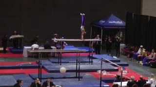 Eduard Yermakov - Parallel Bars - 2017 HNI Team Cup