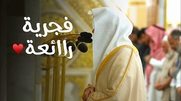 فجرية رائعة لخواتيم سورة المائدة | د. عبدالله القرافي فجر 12 شوال 1446هـ