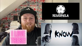 Metalhead Reacts to Nemophila | Raitei Reaction Video