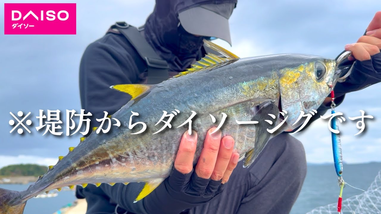100円ジグで堤防からマグロが釣れてしまいました。