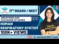 Breathing and Exchange of Gases L-1 | Human Respiratory System -1 | NEET Biology Lectures | Vedantu