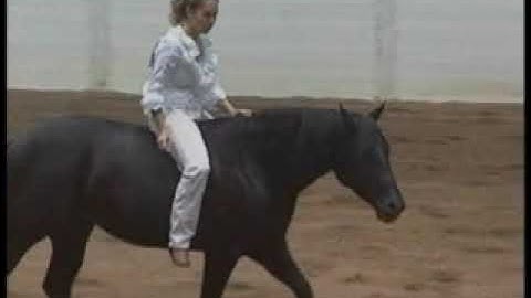 Stacy Westfall Championship Bareback & Bridleless Freestyle Reining with Roxy