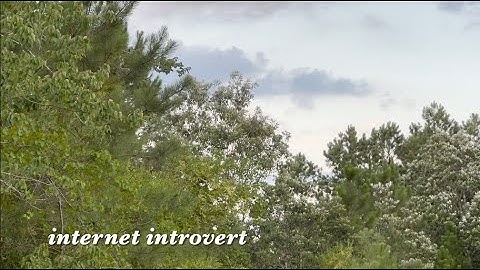 Realizing I am an Internet Introvert