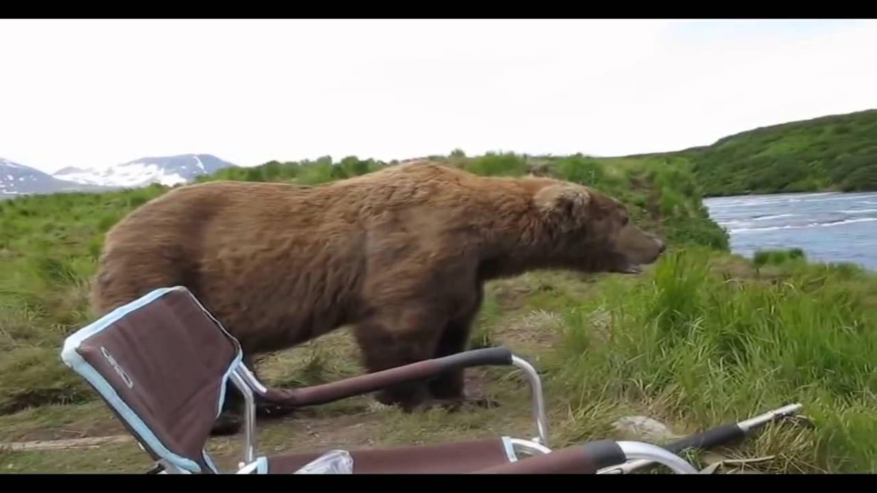 Медведь в горящей машине