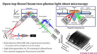 Open-top Bessel beam two-photon light sheet microscopy for 3D pathology