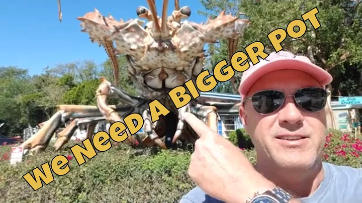 Spring Break Adventure In Islamorada (Florida Keys)