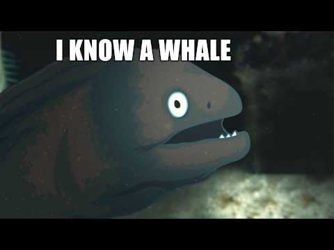 bad-joke-eel-whale-joke