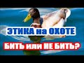 Этика весенней охоты