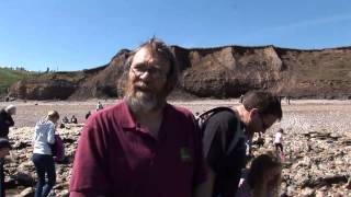 vox pop 5 HD 1080p