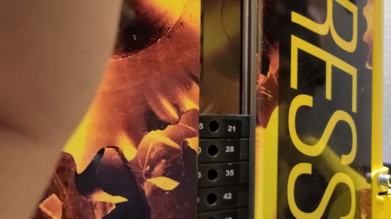 Planet Fitness Demonstrating Life Fitness prone Leg Curl machine for hamstrings