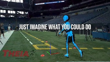 Theia: Massive Markerless Data Collection