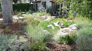Convert to a woodland dry shade garden with swale, reduce water use,
preserve the oak trees and prevent flooding. california native is ...