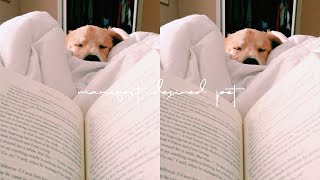 ☾ manifest desired pet sub. //