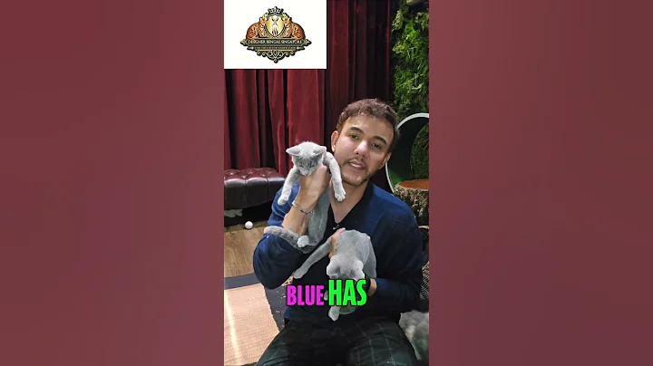 Watch the video about Meet Dikota & Demi