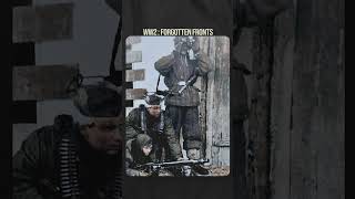 Why Soldiers Feared the German MG-42 #ww2 #combat