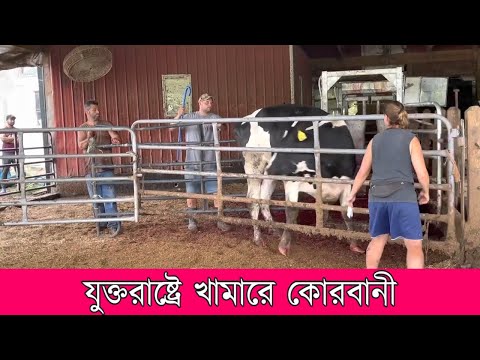 ভিডিও: কিভাবে মার্কিন যুক্তরাষ্ট্রে মেইল প্রেরণ