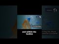 Microplastics Reach the Mariana Trench—What’s in Earth’s Deepest Ocean? | TerraNova