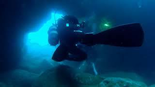 Manta Diving Madeira - Arena
