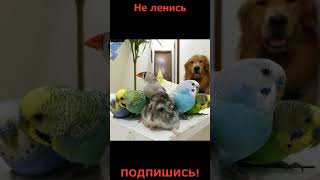 День В Истории. 1 Марта