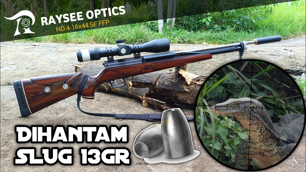 Uklik Innova Pomping berburu biawak pakai slug 13gr